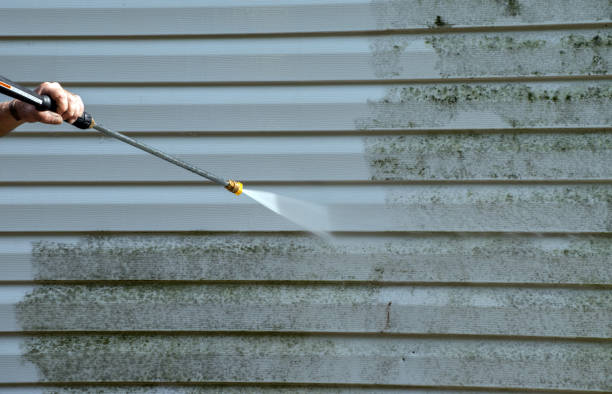 Solar Panel Cleaning in College, AK